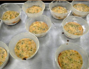 Tuna baked in individual cups