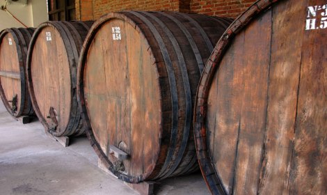 wine barrels at Nanni