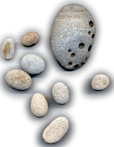 Costa Rican stone and relatives