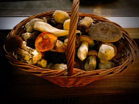 Basket of Mushrooms in Pub