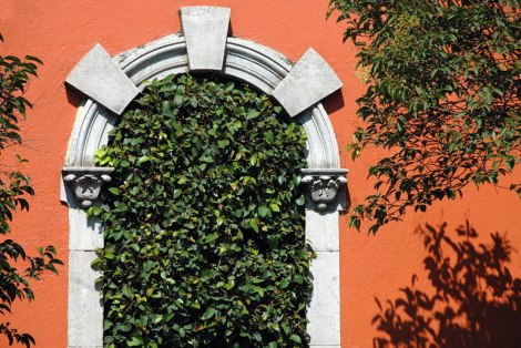 Green Leaf Door in Mexico