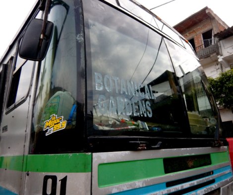 Bus to the Puerto Vallarta Botanical Garden