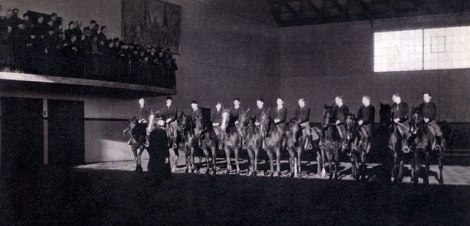 Horses put on a show at the Ollerup School Gymnastics in Denmark, 1941